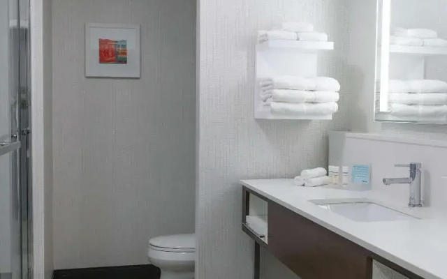 Hampton Inn Black Mountain