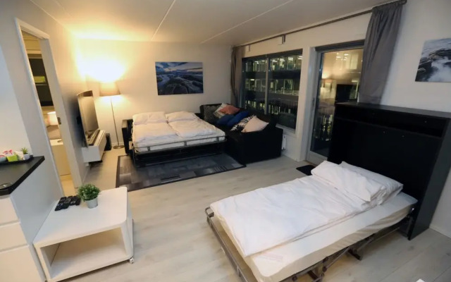 Sentral 3 roms top leilighet med gratis parkering
