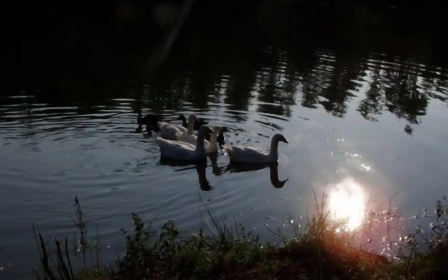 San Bernardino del Lago