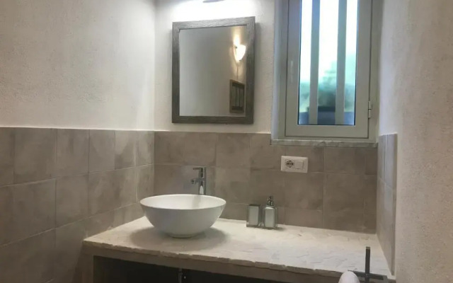 Le 25 Tartarughe