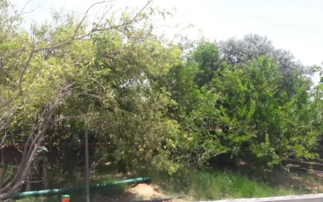 Abu Omair Jabal Shams Guesthouse