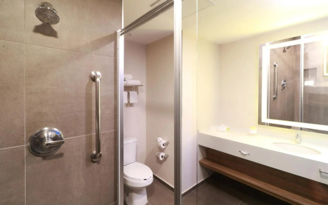 Holiday Inn San Luis Potosi Quijote