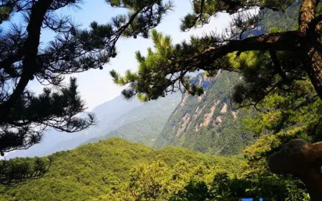 Ruizhu Holiday Farm