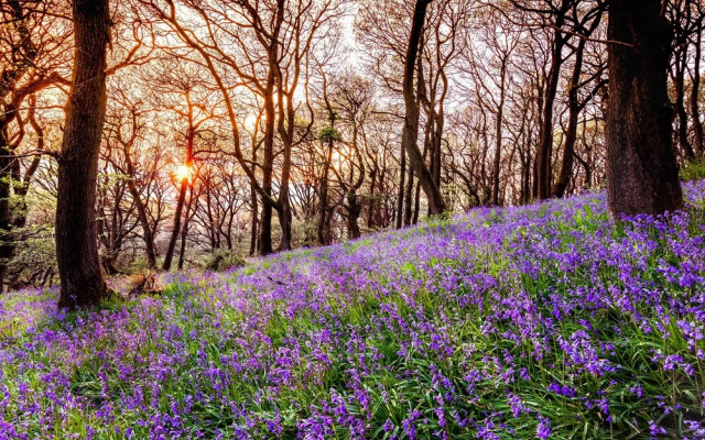 The Coach House Barn