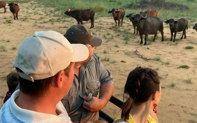 Limpopo Bushveld Retreat