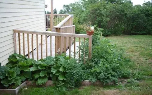 Maven Gypsy B&B +Cottages