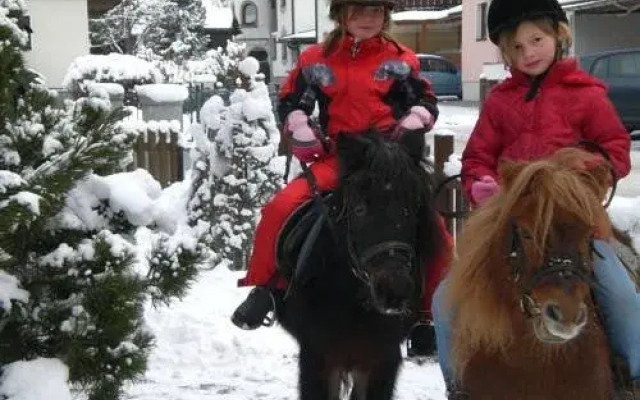 Alpenpension Hï¿½fler