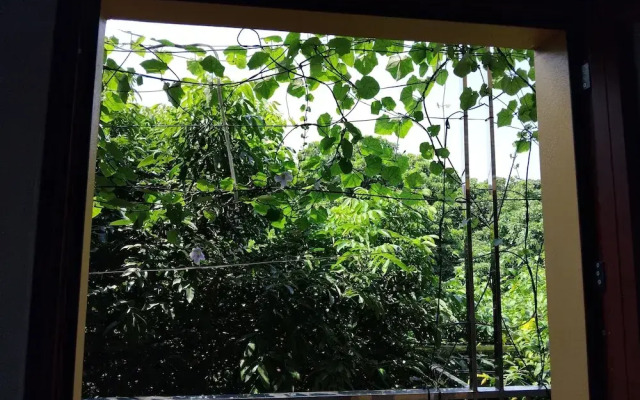 Green Space Homestay