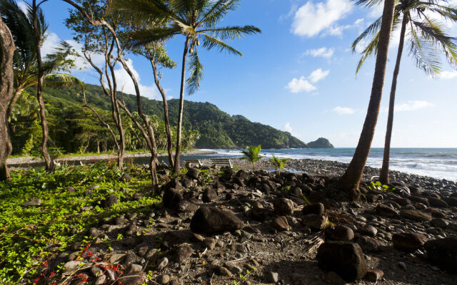 Rosalie Bay Resort