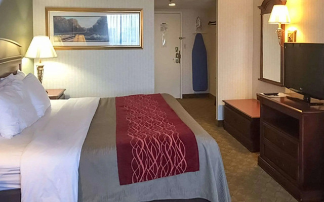 Comfort Inn - Springfield