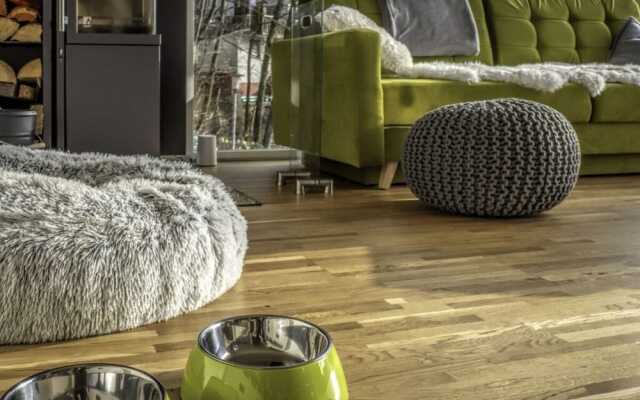 Williaduct Modern Retreat