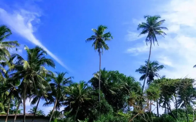 Malika's Yellow House