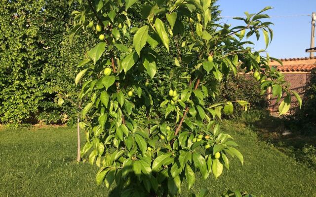 Corte Breda Agriturismo Bed & Breakfast