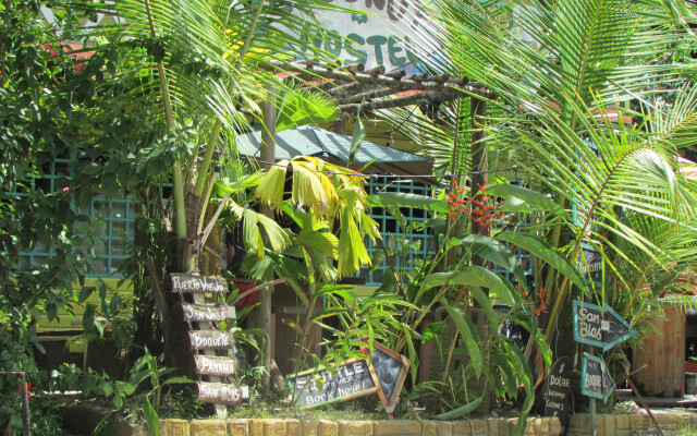 Coconut Hostel