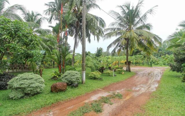 Oyo 364 Hotel Water Nest