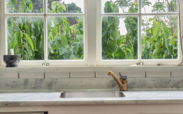Rustic 2BR nr Mission Bay w Garden view