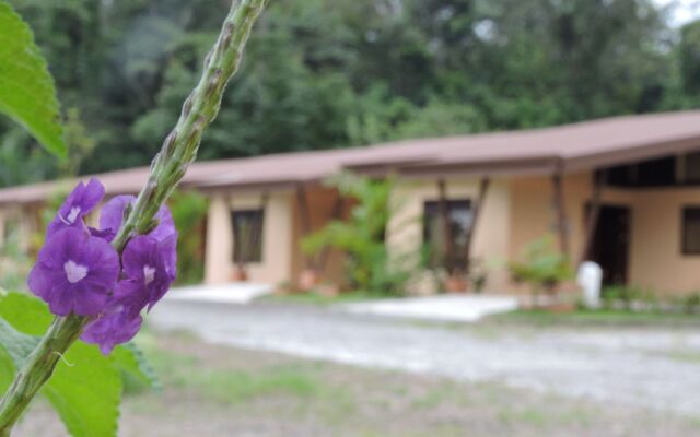 Aunty Arenal Lodge