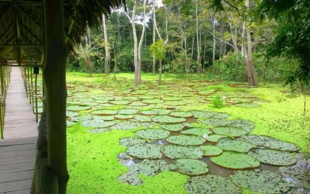 Avatar Amazon Lodge & Canopy Park