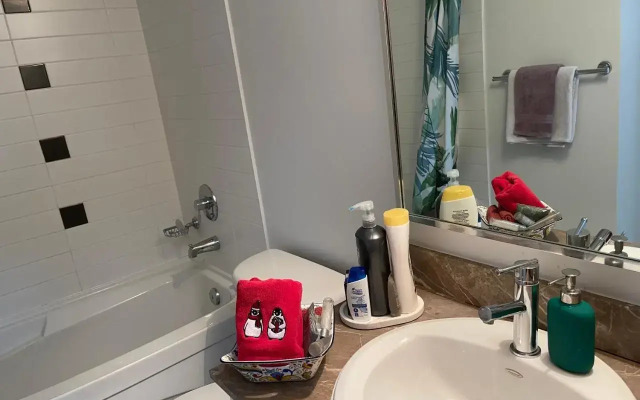 Vancouver Downtown Central 1 bedroom Condo