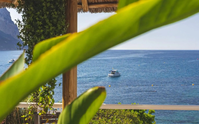 Hôtel de la Plage Mahogany