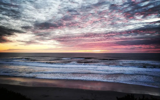 Seagull Beach Front Motel