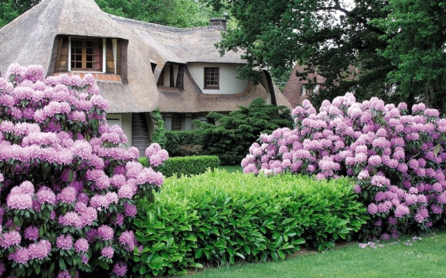 Auberge des Templiers