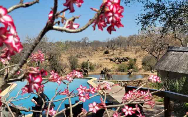 MILIMA Big 5 Safari Lodge