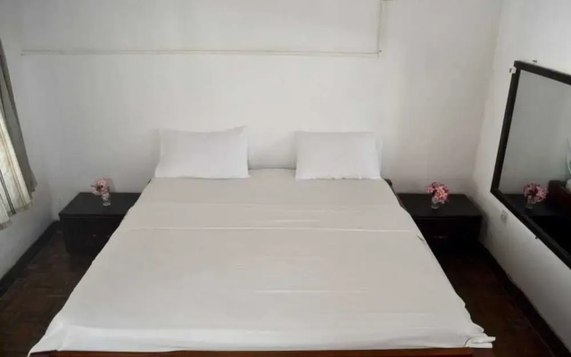 The New Big Tree Beach Resort