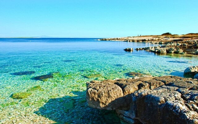 Apartment Andrea L Pula