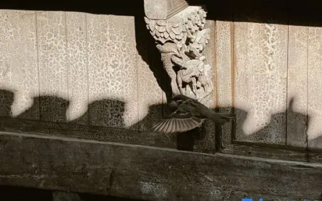 Tingxueyuan