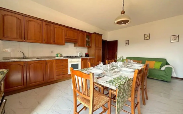 Le piccole Vigne (Vignine)