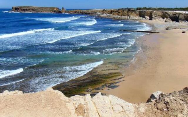 Surf Peniche - Ocean View