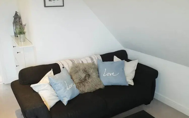 Central Windsor Apartments