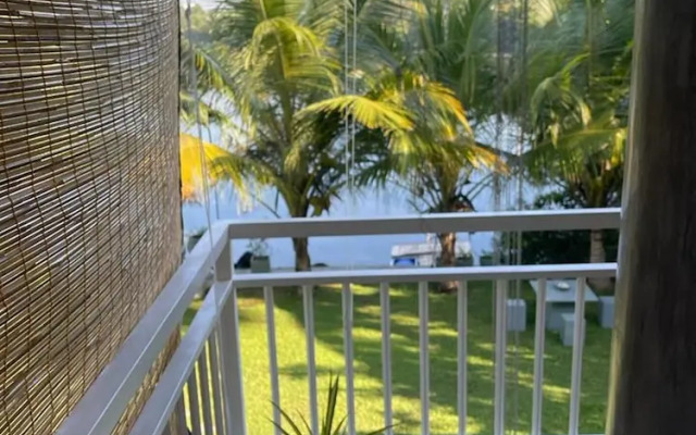 Morning Guest can see Momkeyies and Birds