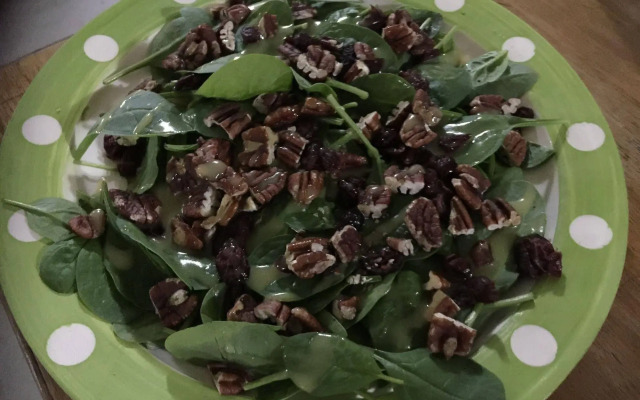 Warrumbungles Mountain Motel