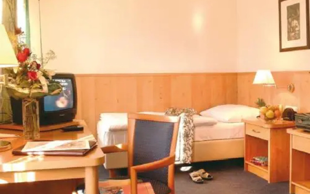Hotel Geier