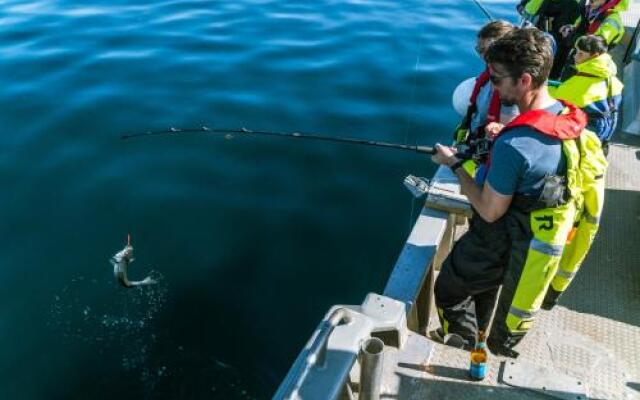 Live Lofoten Fishermen's Cabins
