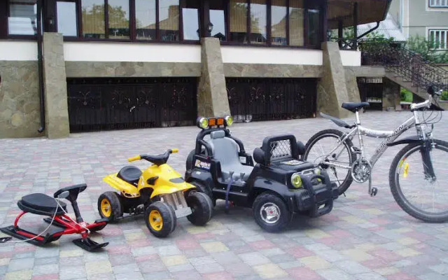 Цвит Папороти