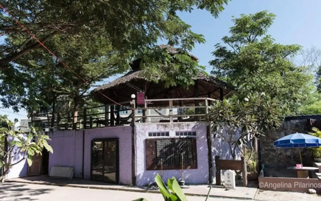 Purple Monkey Backpackers