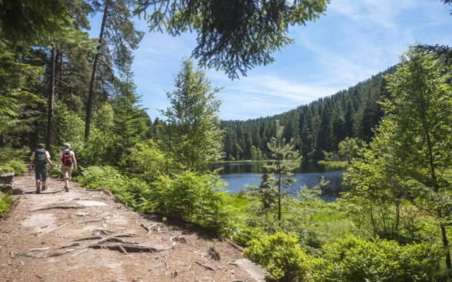 Schwarzwaldhotel Oberwiesenhof