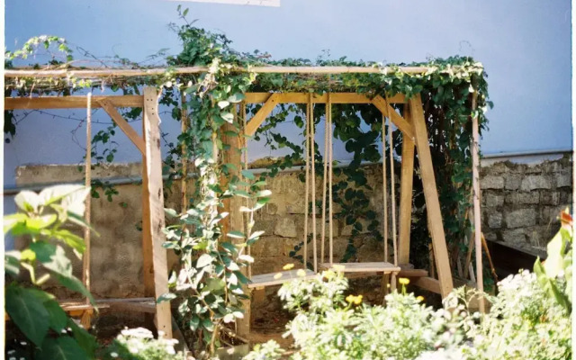 Firefly Garden
