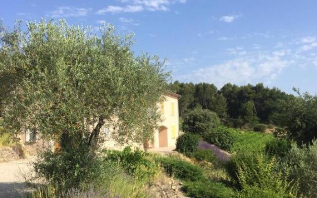 Le Voltigeur du Ventoux