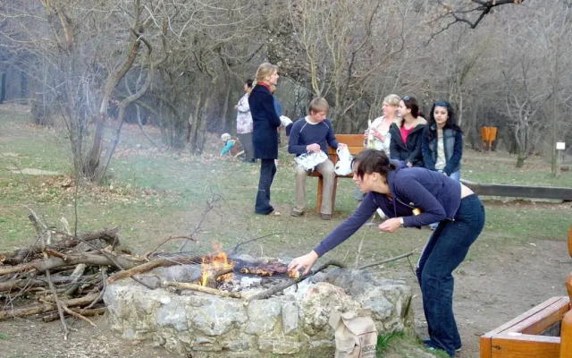 Berg Toboz Panzi