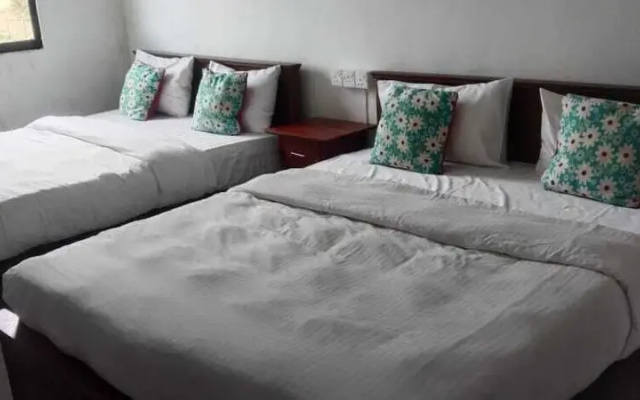 New Unique View Hotel
