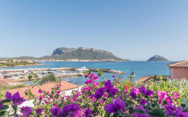 SAbba e Sa Pedra (GOA123)