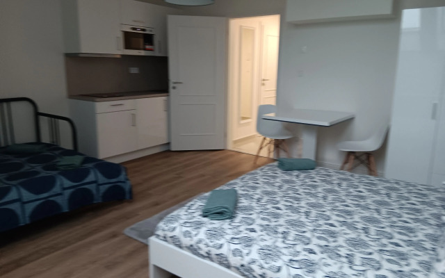 1 Br Apartment at Prague 1