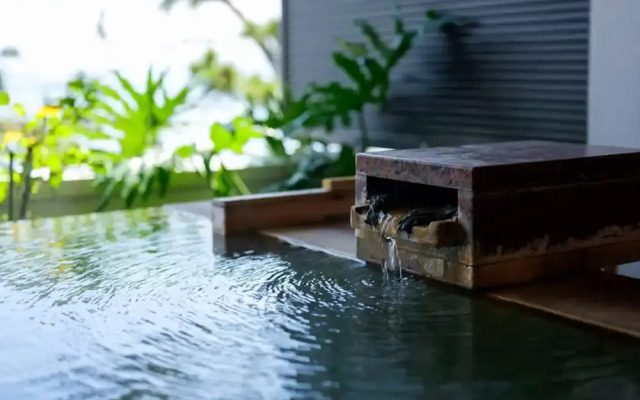 Hana no Onsen Hotel Ginsyo