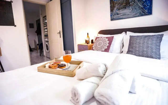 Lux apartment downtown
