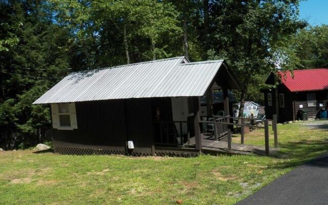 Lake George Bear's Den