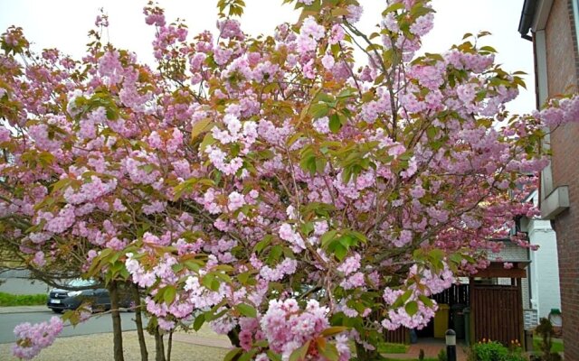 Hotel Sudstrand Auf Amrum